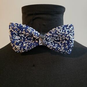 Elegant Blue and Silver Bow Tie